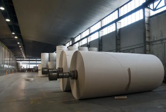 paper and paperboard suppliers