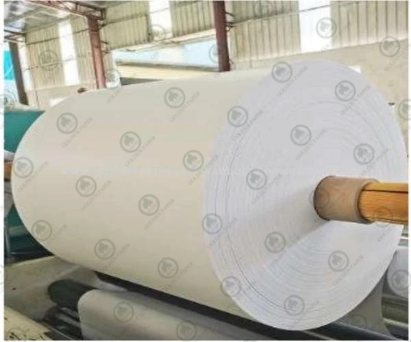 Vantagens e guia para usar papel térmico colorido