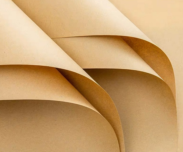 100% reciclável! Como o papel de embalagem é produzido?