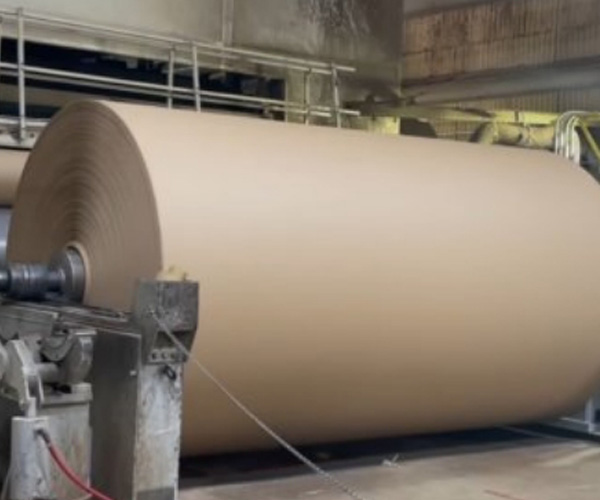 Explorando o cenário atual e as tendências futuras da indústria de papel
