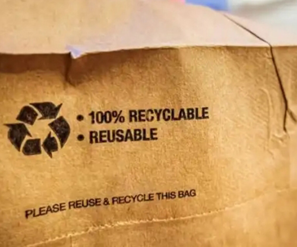 Embalagens de papel em alta na América do Norte, à medida que consumidores e empresas adotam a sustentabilidade