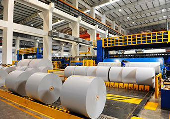 Relatório de análise de exportação de papel para os próximos cinco anos