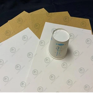 Papel base de Cupstock sem revestimento
