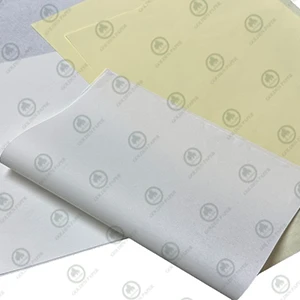 Papel da Bíblia