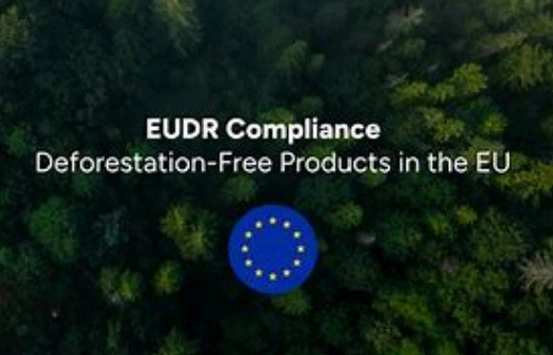 EUDR-Novas oportunidades para as empresas chinesas de papel no mercado europeu