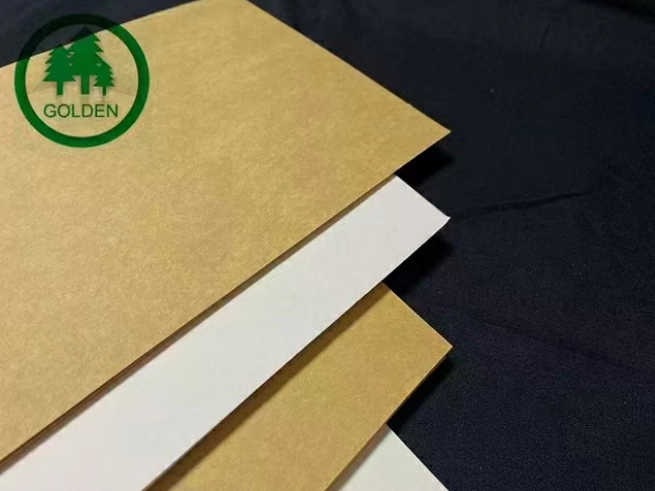 'Substituir plástico por papel' impulsiona nova demanda, e as empresas de papel aceleram o layout da capacidade de produção de papel especial