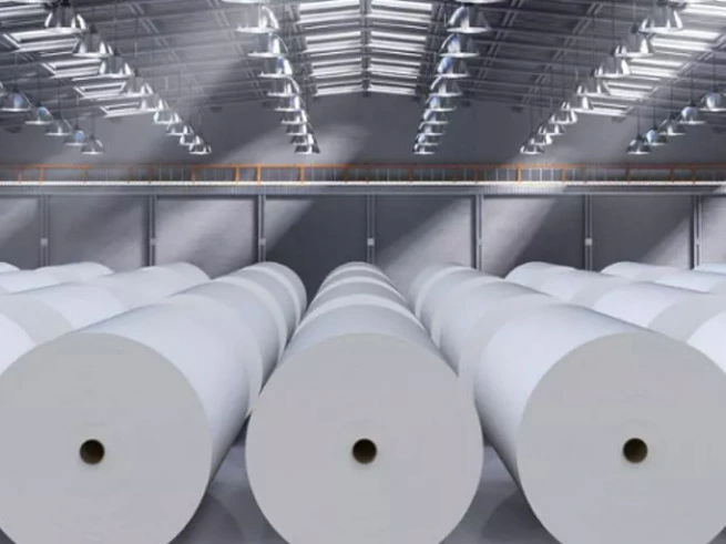 Indústria de fabricação de papel de janeiro a novembro de 2024