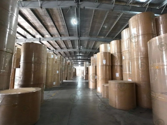 Em 2024, a produção de papel e papelão da China ultrapassou 150 milhões de toneladas, estabelecendo um recorde histórico!