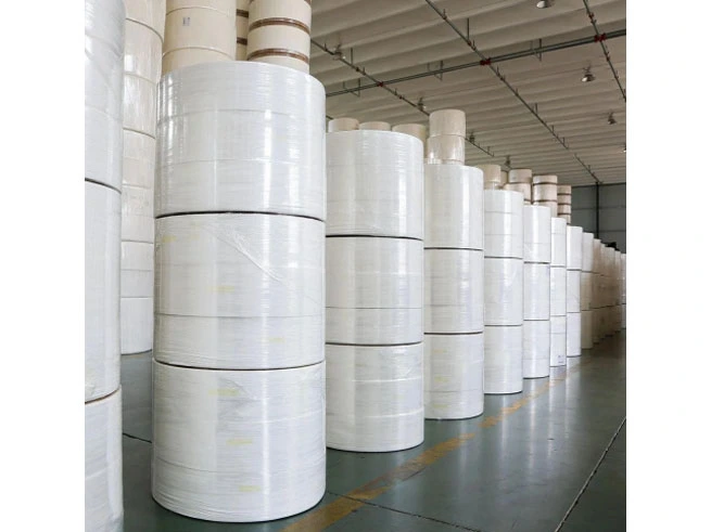 Relatório global do mercado de papel higiênico: principais tendências e previsão de crescimento