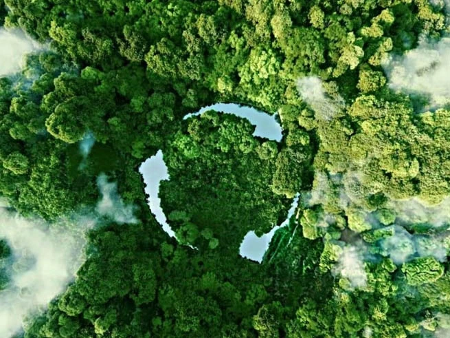 2025 Tendências de exportação de papel na América do Sul