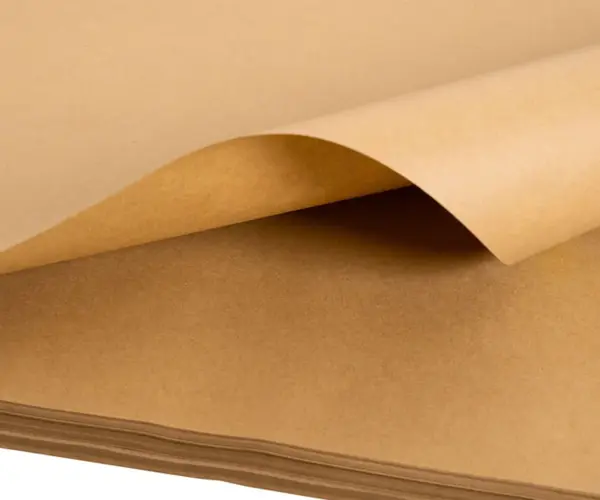 Polpa branqueada vs polpa não branqueada: qual você deve escolher?