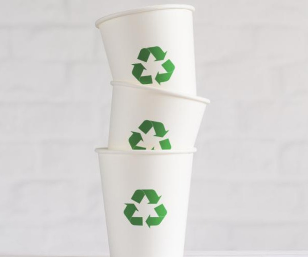 Um guia completo para tipos de papel usado em embalagens de alimentos