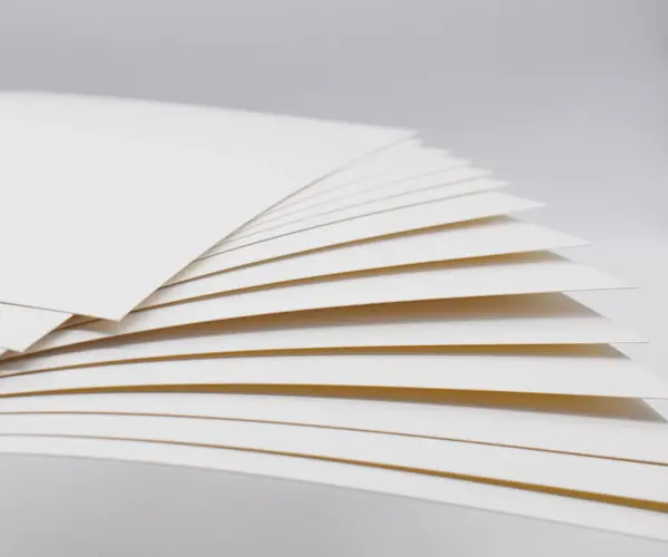 Sulfato branqueado sólido (SBS) vs placa de caixa dobrável (FBB): Qual é a diferença no cartão de embalagem?