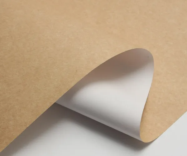 Por que o CKB está se tornando cada vez mais popular