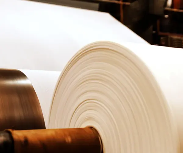 Qual é a diferença entre polpa e papel?